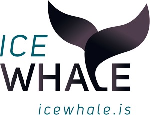 IceWhale-logo