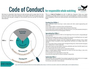 Iceland responsible whale watching - code of conduct