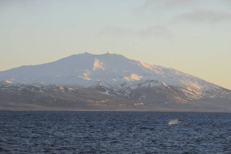 Whale Watching Iceland in December - Report from Dec 21 | lakitours.com