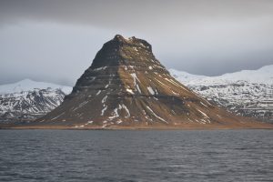 Whale Watching Iceland in February