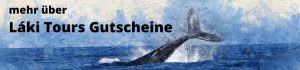 Island Whale Watching Gutschein