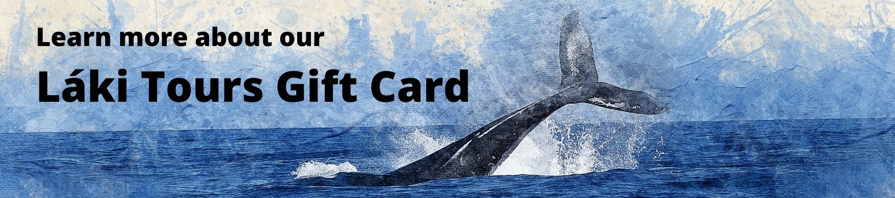 Láki Tours Iceland Gift Card Whale Watching