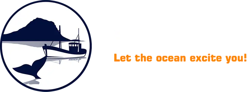Láki Tours logo