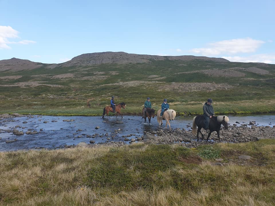 Horseback Riding Westfjords