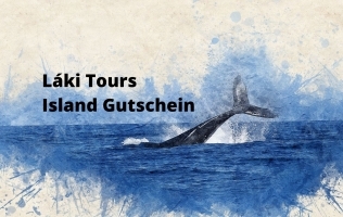 Láki Tours Island Gutschein – Walbeobachtung Island Geschenkgutschein – Geschenke für Island Fans