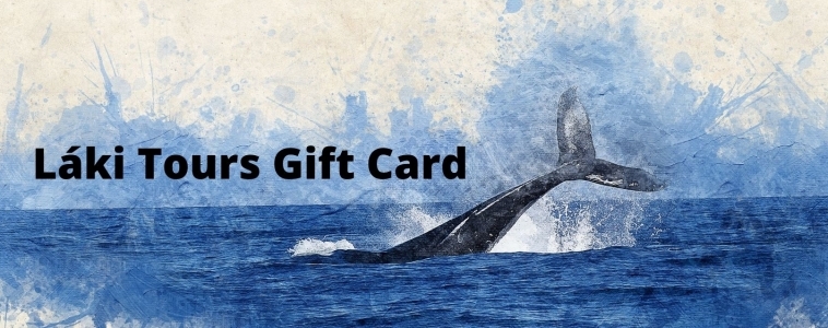 Láki Tours Iceland Gift Card – Icelandic Gift Online – Gift for Iceland Lovers