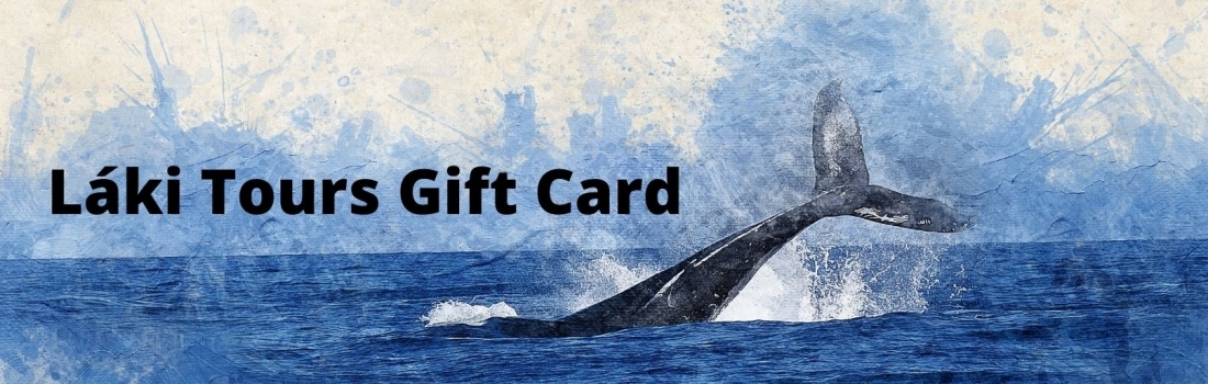 Láki Tours Iceland Gift Card – Icelandic Gift Online – Gift for Iceland Lovers